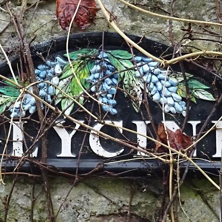 Le Glycine A Manoir Sainte Cecile Leilighet Juvigny-Val-d'Andaine Eksteriør bilde
