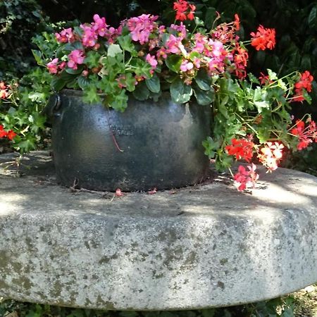Le Glycine A Manoir Sainte Cecile Leilighet Juvigny-Val-d'Andaine Eksteriør bilde