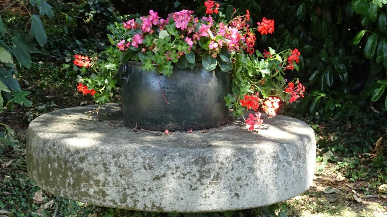 Le Glycine A Manoir Sainte Cecile Leilighet Juvigny-Val-d'Andaine Eksteriør bilde